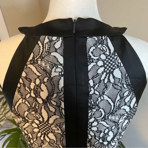 Cache Black and White Lace Round Neck Dress Size 2 - Picture 6 of 10
